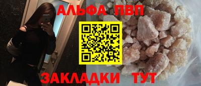 шишки Заволжье